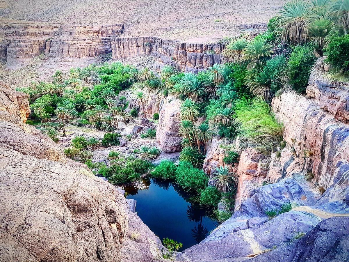 Ouednoujoum Ecolodge & Spa Ouarzazate Esterno foto
